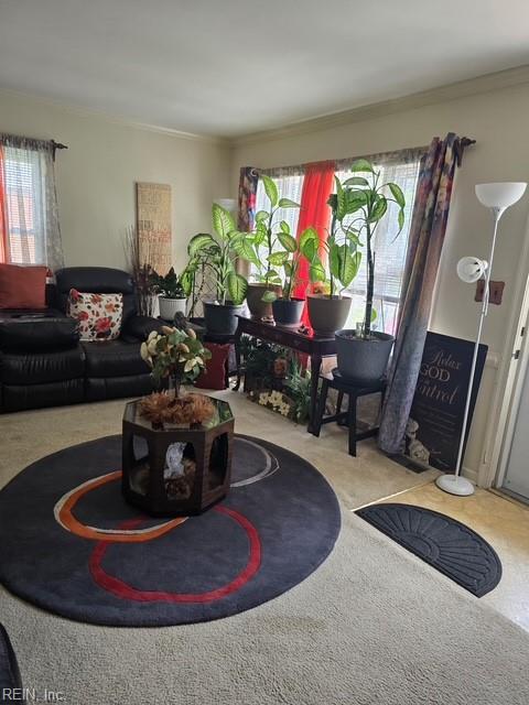 19 Sidney Pl Property Photo 11