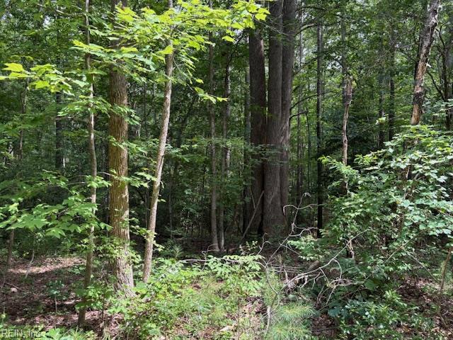 Lot 28 Rivers Knoll Property Photo 5