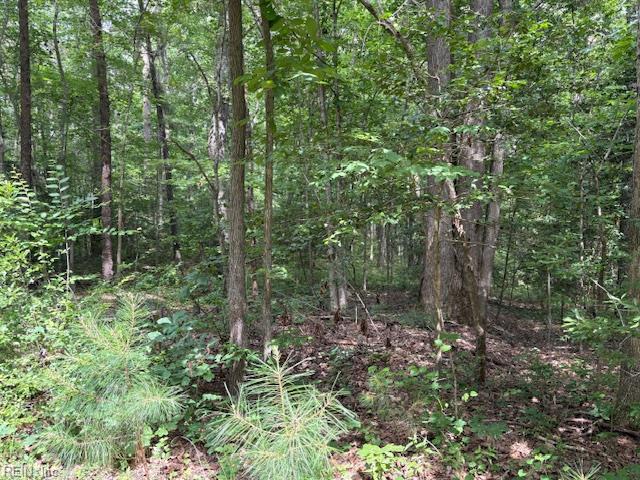 Lot 28 Rivers Knoll Property Photo 6