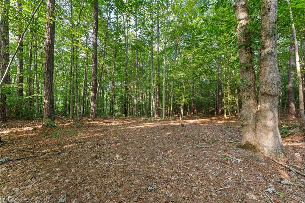 Lot 9 Deerwood Ct Property Photo 2