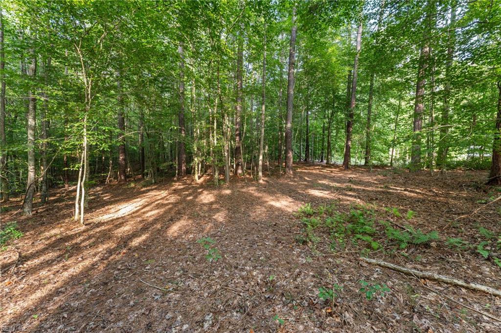 Lot 9 Deerwood Ct Property Photo 3