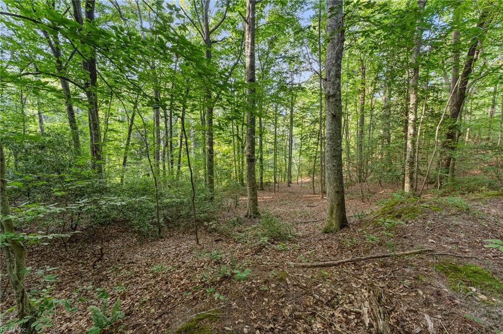 Lot 9 Deerwood Ct Property Photo 4