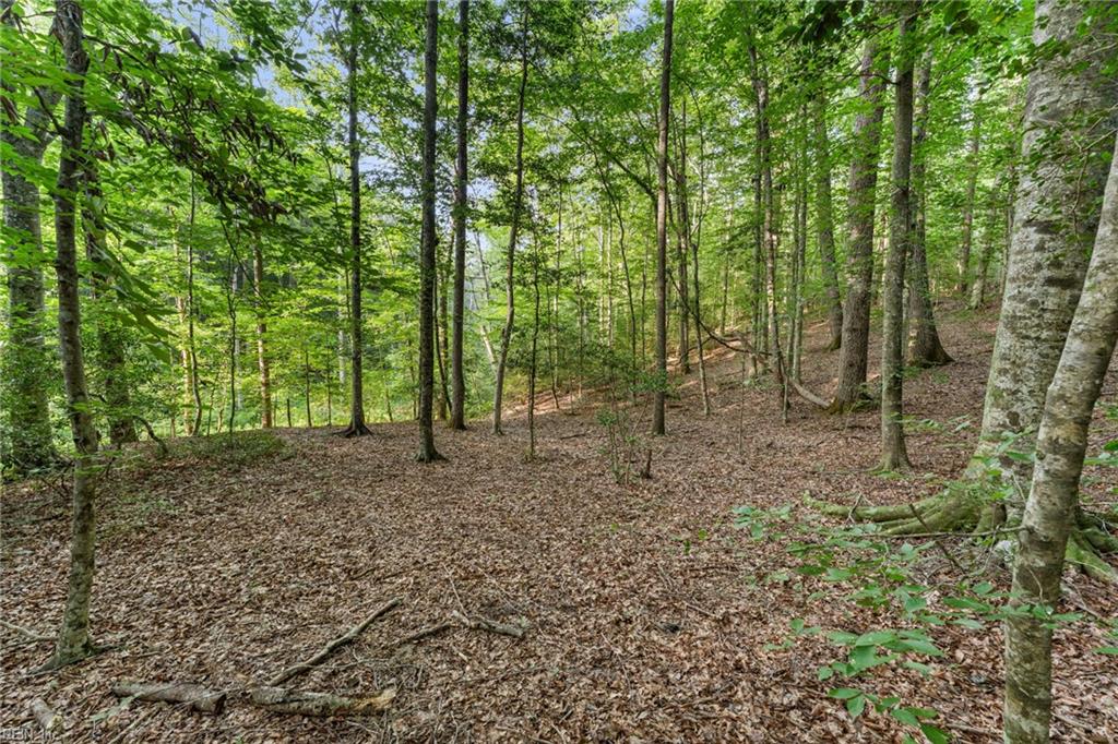 Lot 9 Deerwood Ct Property Photo 5