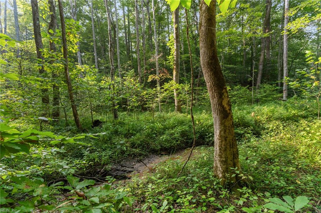 Lot 9 Deerwood Ct Property Photo 7