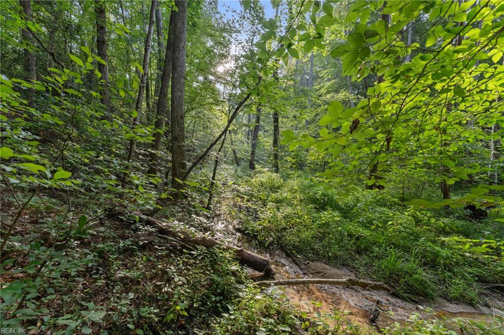 Lot 9 Deerwood Ct Property Photo 8