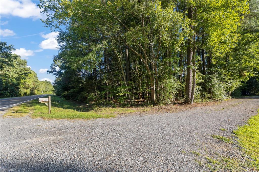 .33 Ac John Clayton Memorial Hwy Property Photo 1
