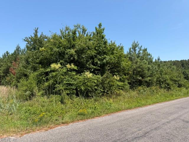 116 Ac Walnut Hill Rd Property Photo 4