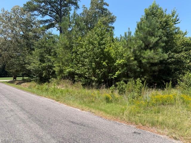 116 Ac Walnut Hill Rd Property Photo 6