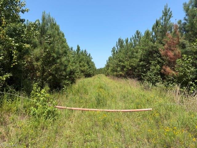116 Ac Walnut Hill Rd Property Photo 7