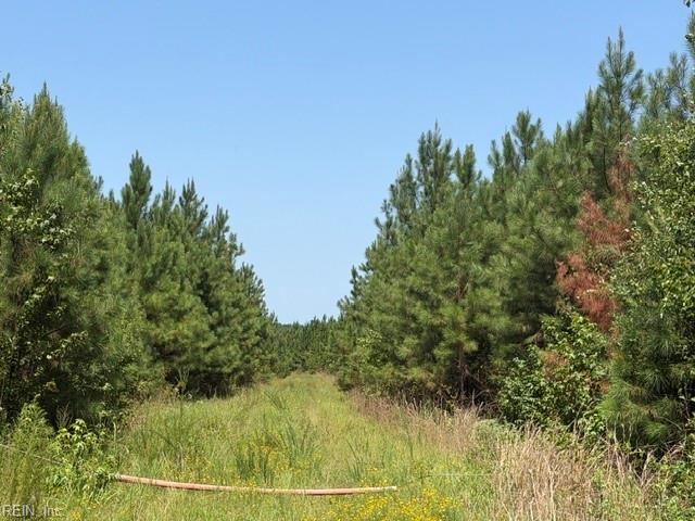 116 Ac Walnut Hill Rd Property Photo 8