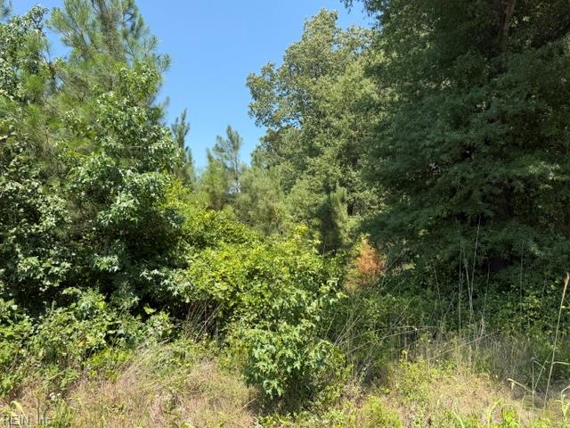 116 Ac Walnut Hill Rd Property Photo 9