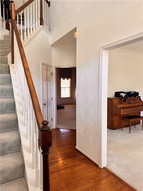 4565 Lodgepole Dr Property Photo 6