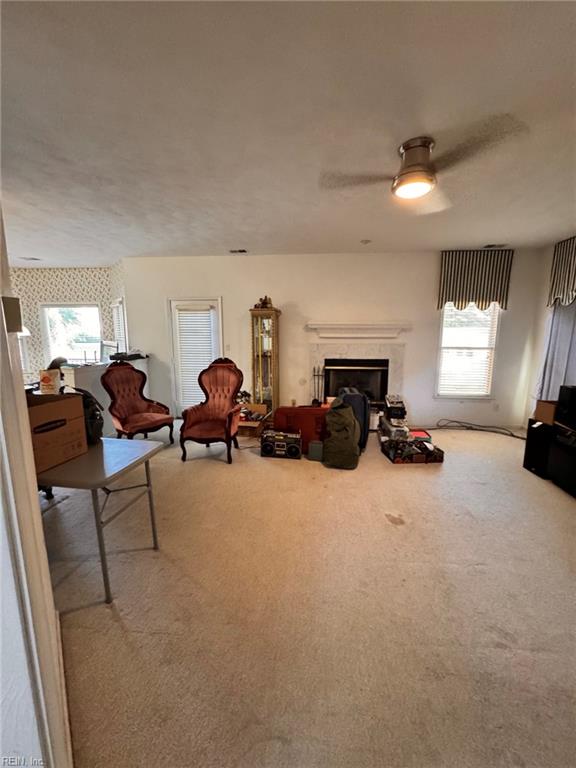 4565 Lodgepole Dr Property Photo 11