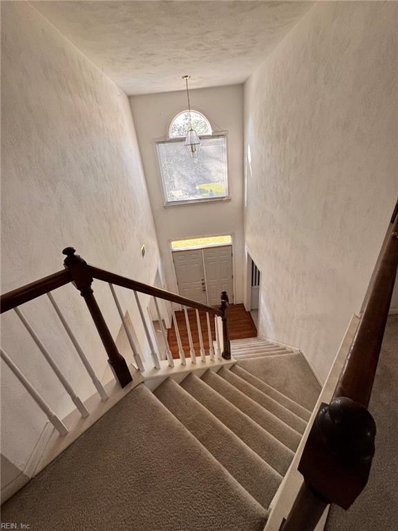 4565 Lodgepole Dr Property Photo 36