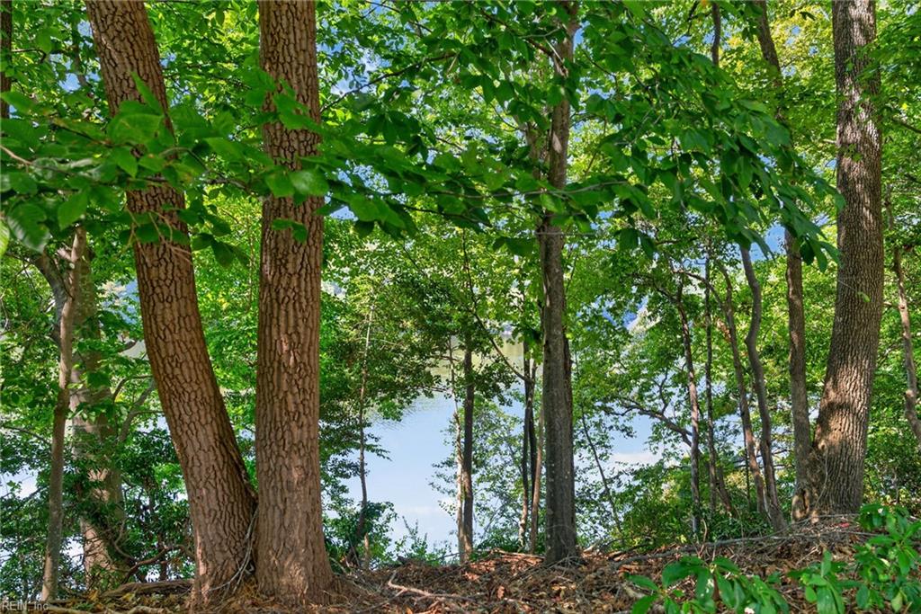 2075 Heron's Point Ln Property Photo 47