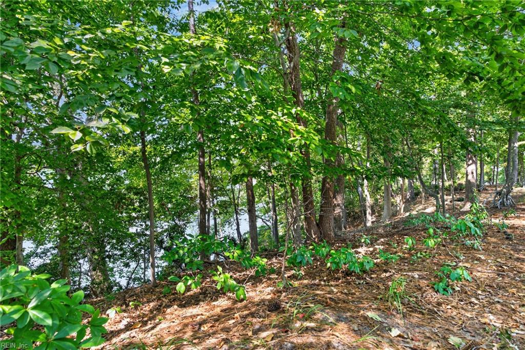 2075 Heron's Point Ln Property Photo 48