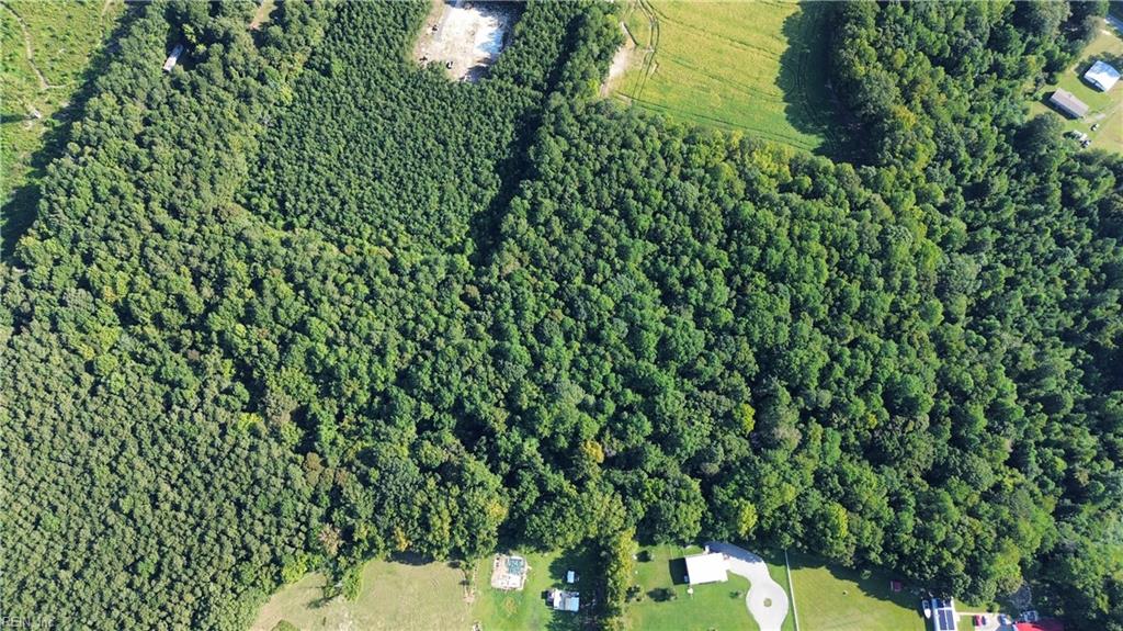6.58ac Us-158 Hwy Property Photo 6