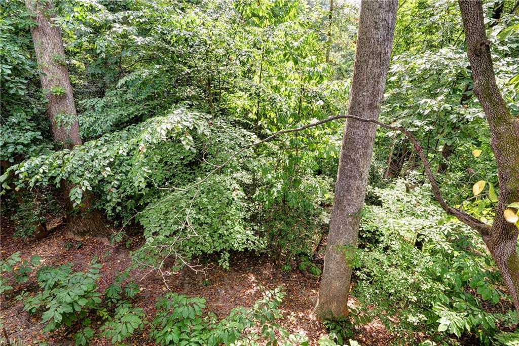 116 Cove Point Ln Property Photo 23