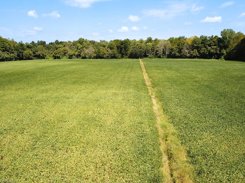 42.4 Acres Benefit Rd Property Photo 4