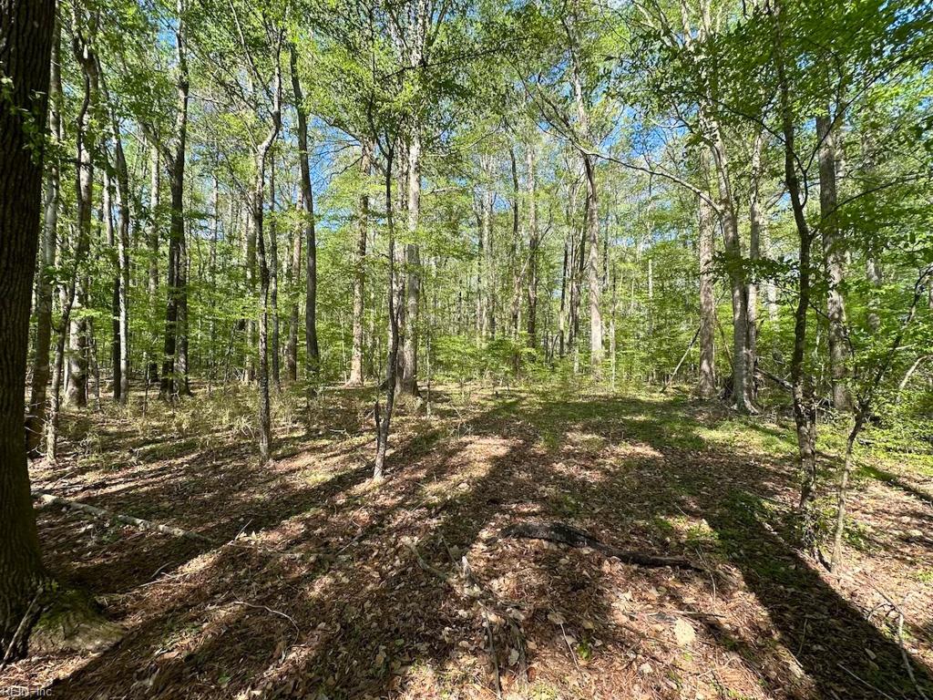 42.4 Acres Benefit Rd Property Photo 6