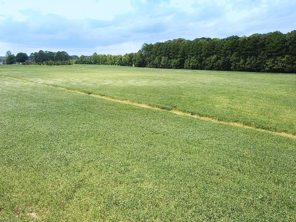 42.4 Acres Benefit Rd Property Photo 7