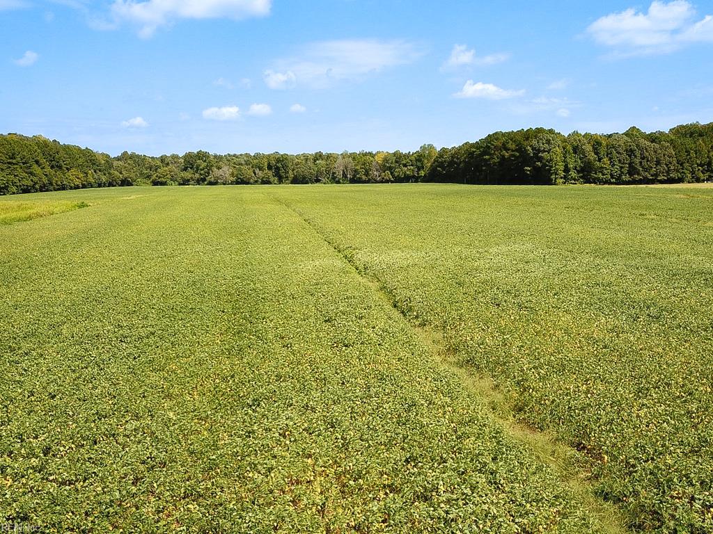 42.4 Acres Benefit Rd Property Photo 9