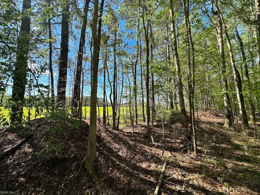 42.4 Acres Benefit Rd Property Photo 12