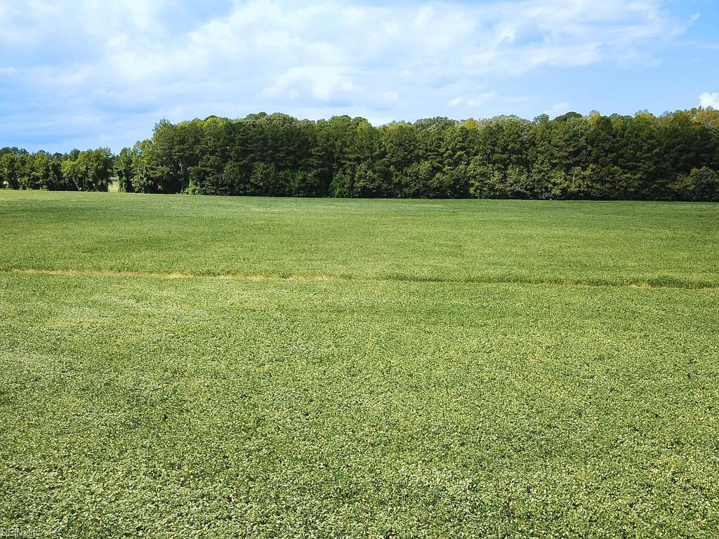 42.4 Acres Benefit Rd Property Photo 15