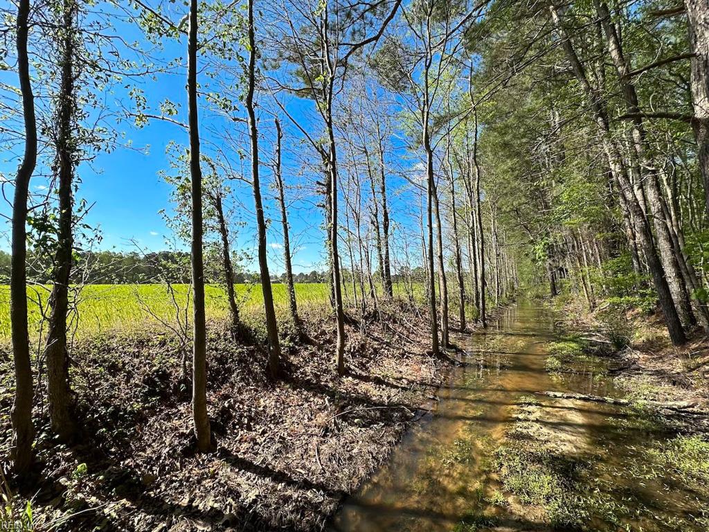 42.4 Acres Benefit Rd Property Photo 17