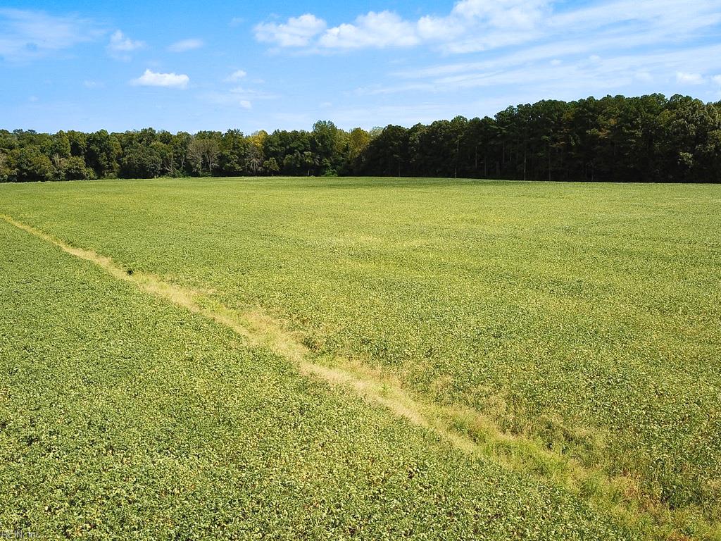 42.4 Acres Benefit Rd Property Photo 21
