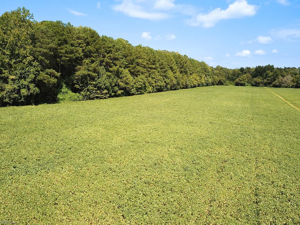 42.4 Acres Benefit Rd Property Photo 23