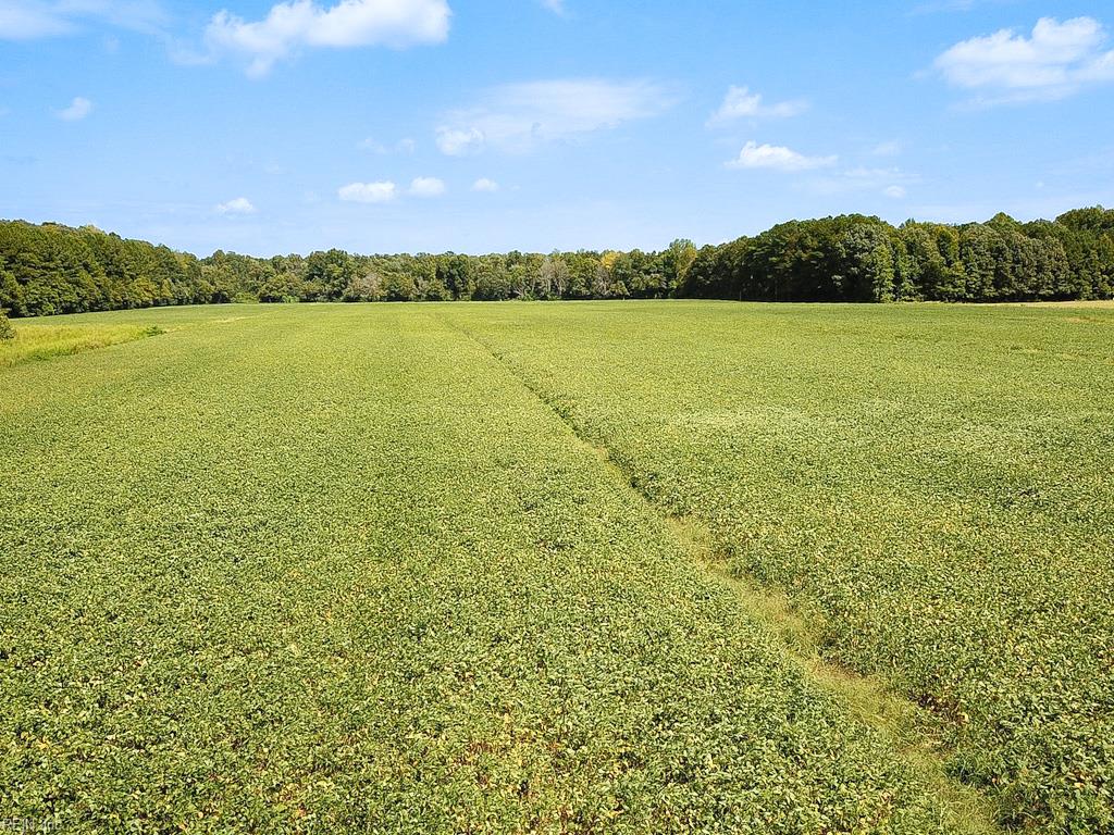 42.4 Acres Benefit Rd Property Photo 24