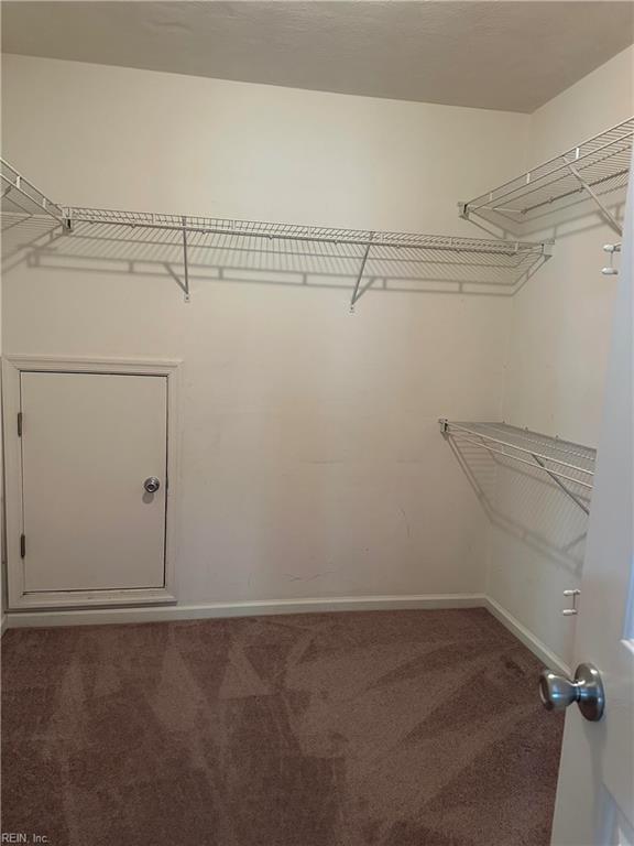 1000 Halter Arch Property Photo 16