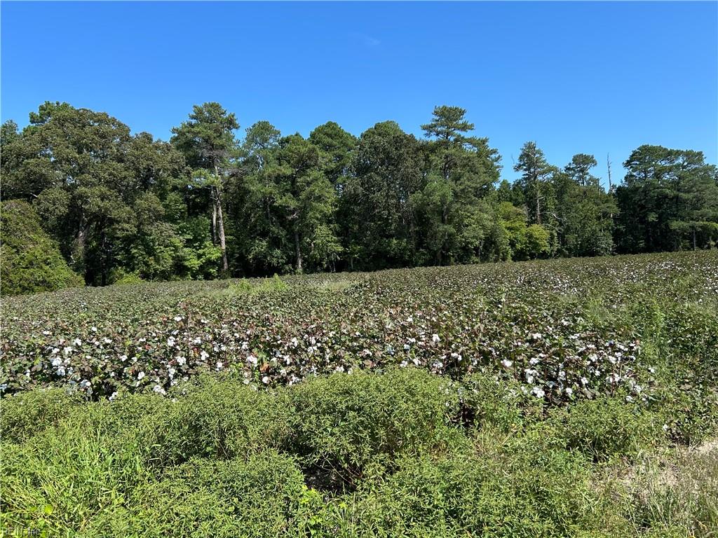 12 Ac Tar Rd Property Photo 3