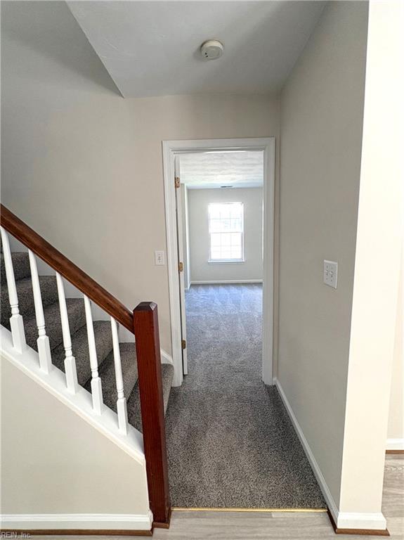 717 Treetop Ln Property Photo 27