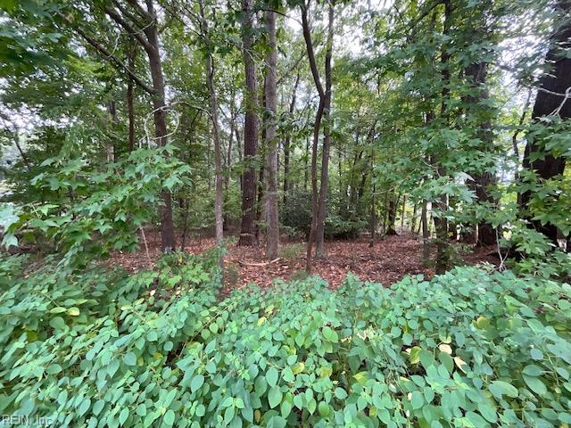 .45AC Maple DR