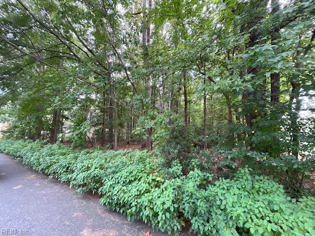 .45ac Maple Dr Property Photo 2