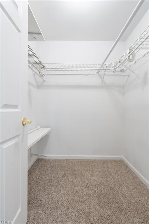 7 Holly St Property Photo 29