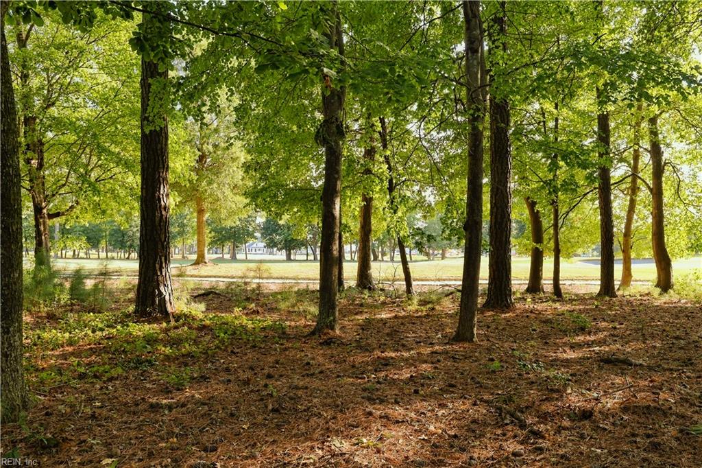 8 Nellie Stevens Ct Property Photo 3