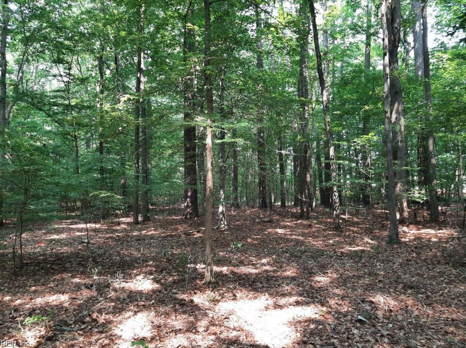 6628 Blackwater Rd Property Photo 1