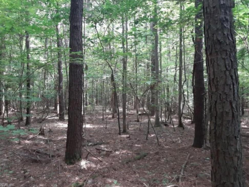 6636 Blackwater Rd Property Photo 2