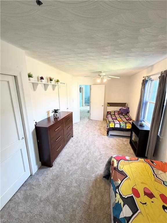57 Henry St Property Photo 16