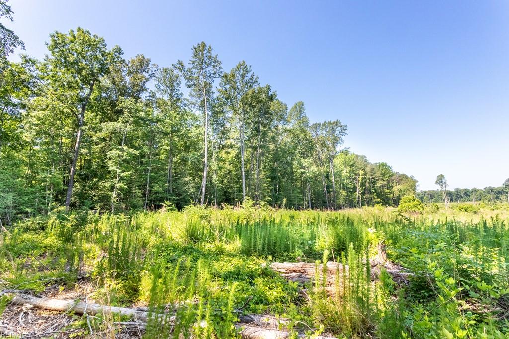 19041 The Glebe Ln Property Photo 11