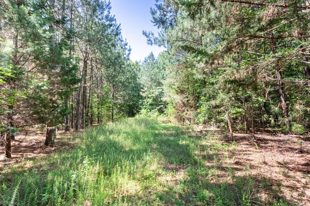 19041 The Glebe Ln Property Photo 12
