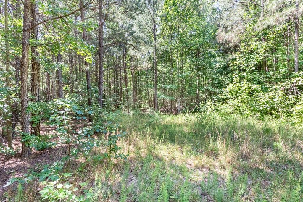 19041 The Glebe Ln Property Photo 14