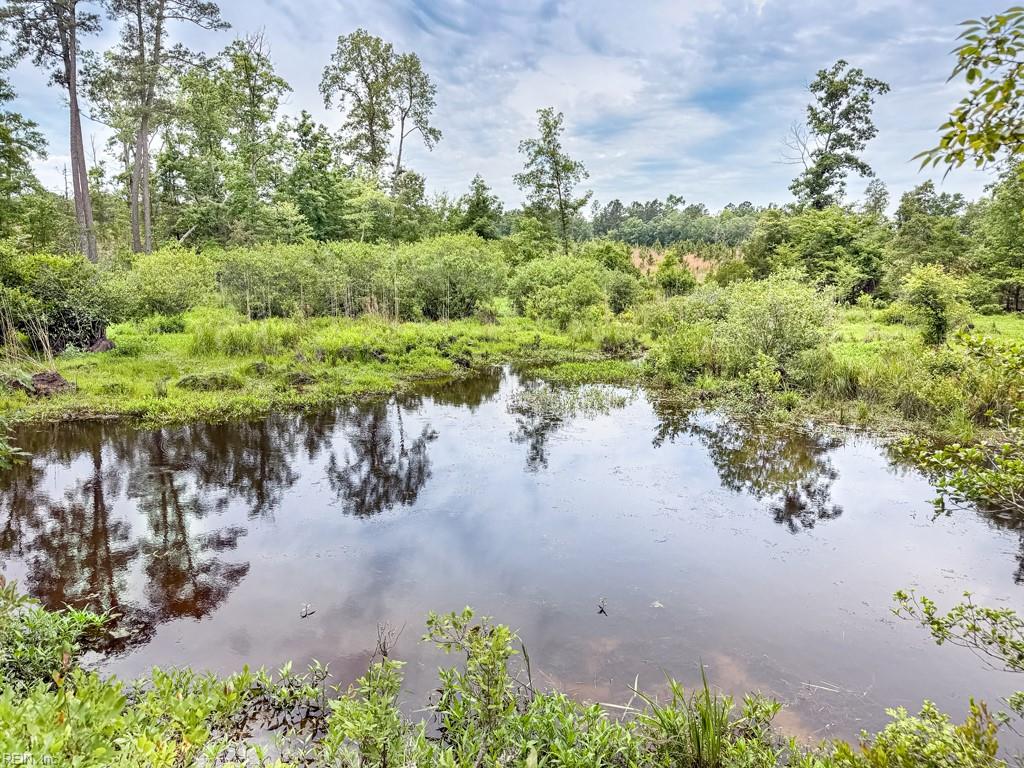 19041 The Glebe Ln Property Photo 18