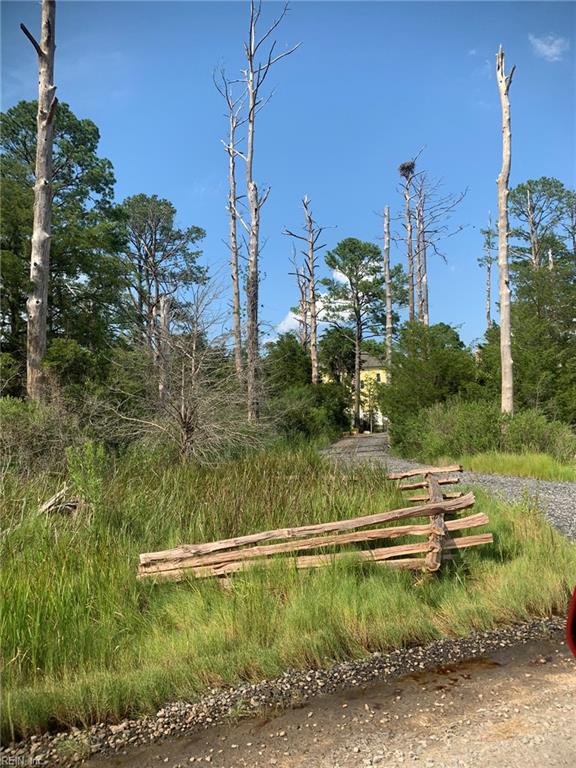 0000 Carmines Island Rd Property Photo 32