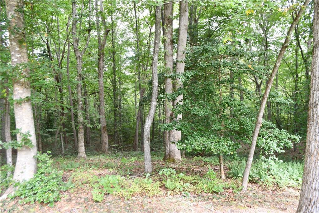 10656 Shelby Ln Property Photo 34