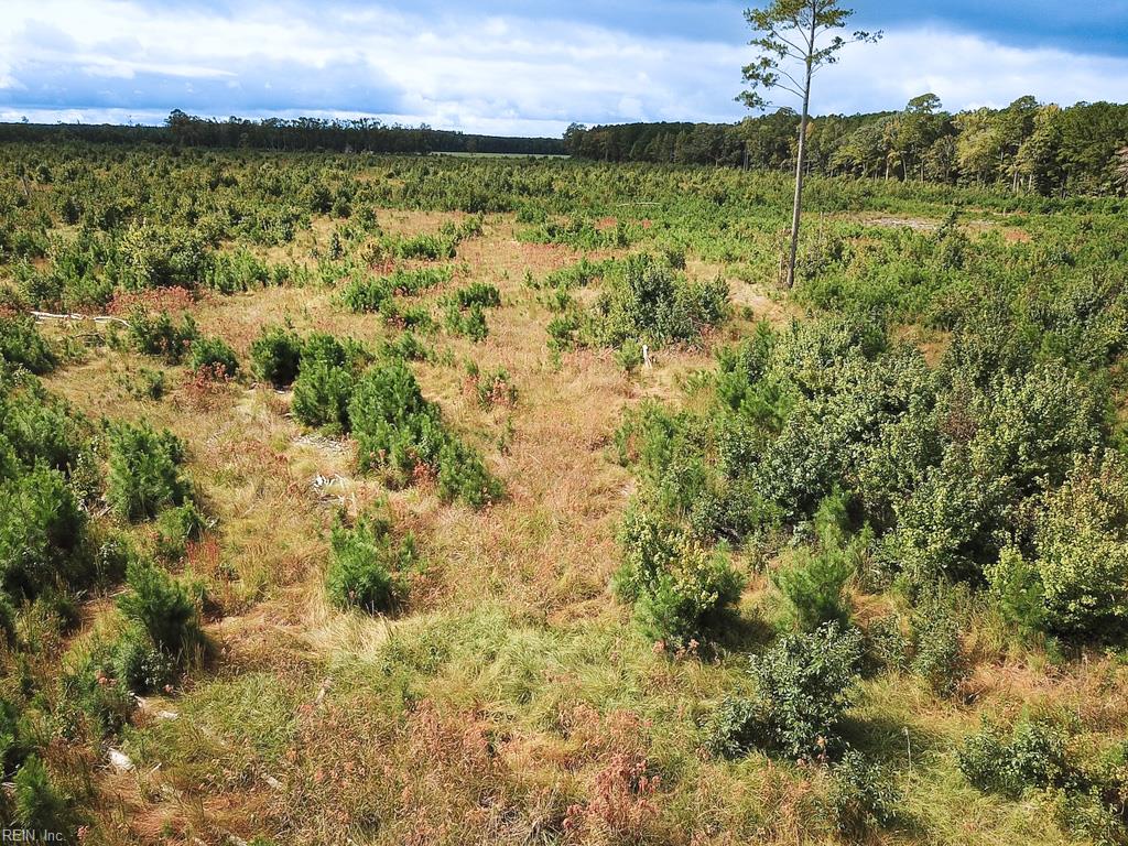193 Acres Saxis Rd Property Photo 7