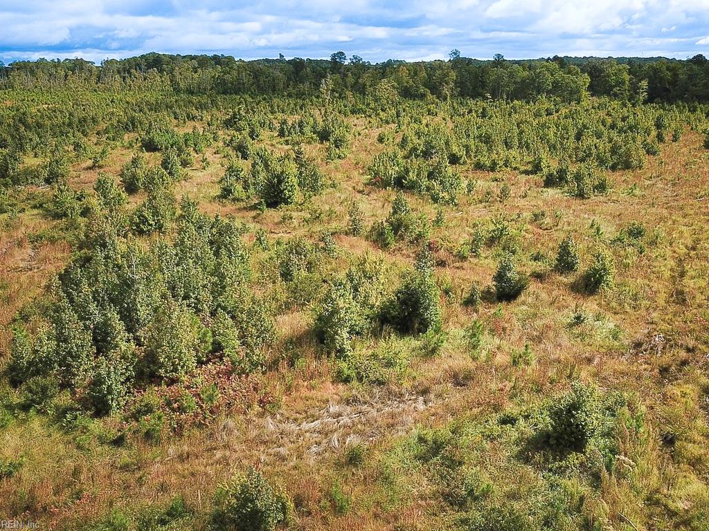 193 Acres Saxis Rd Property Photo 8